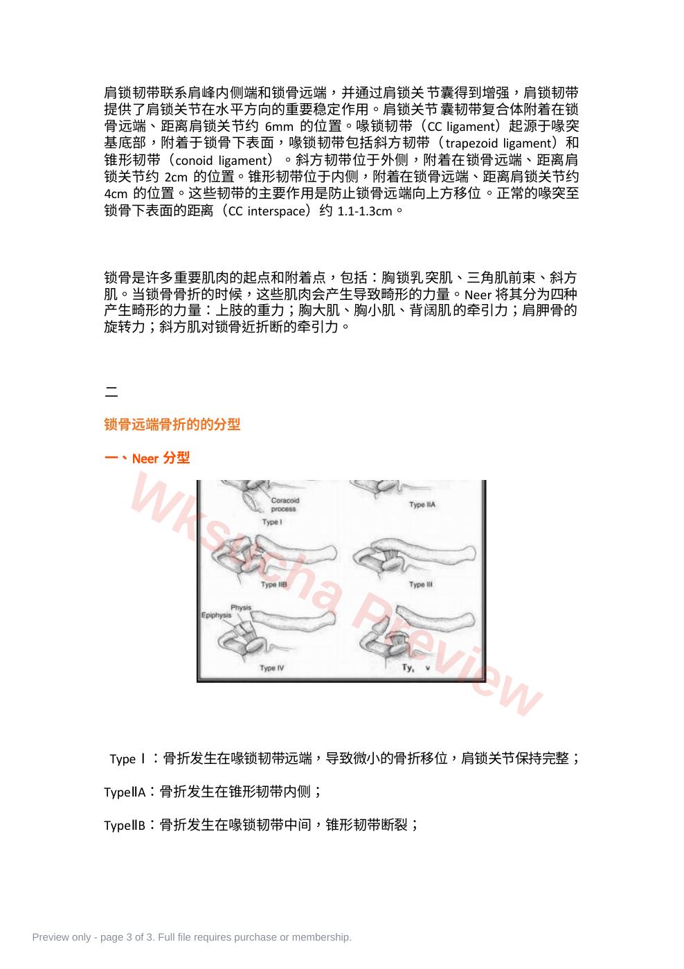 预览第 3 页