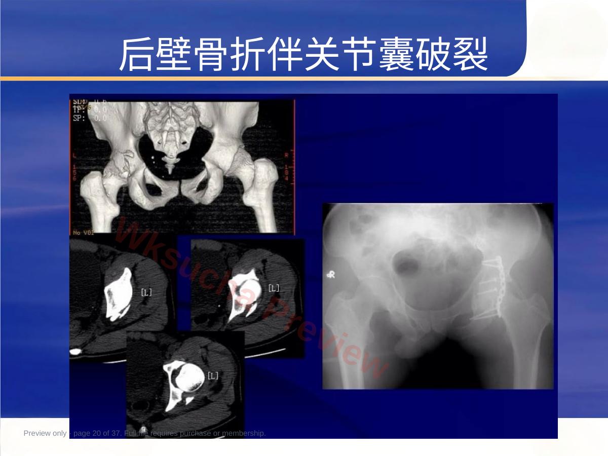 预览第 20 页