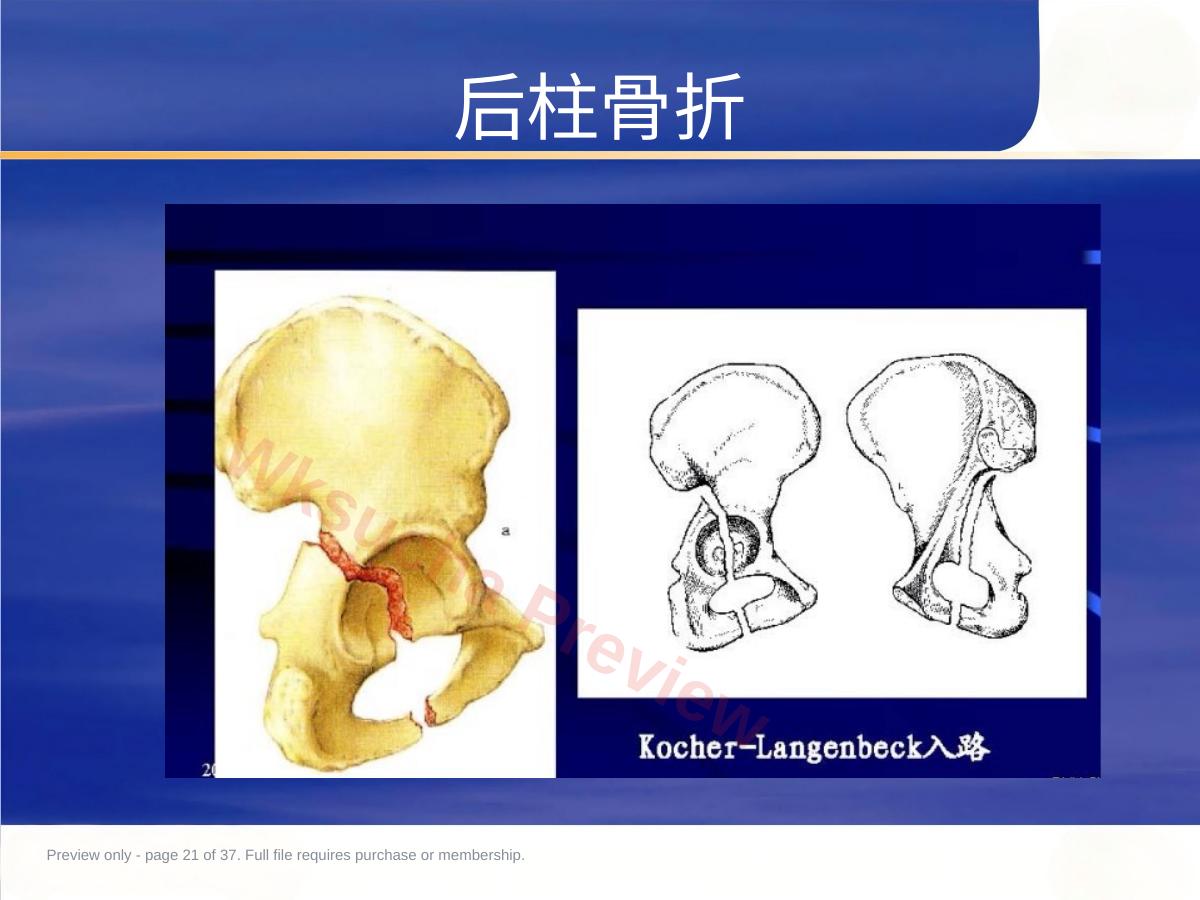 预览第 21 页
