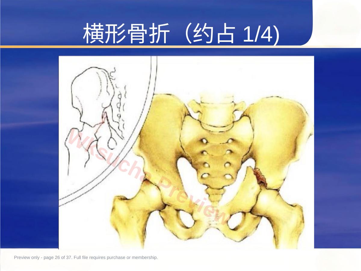 预览第 26 页