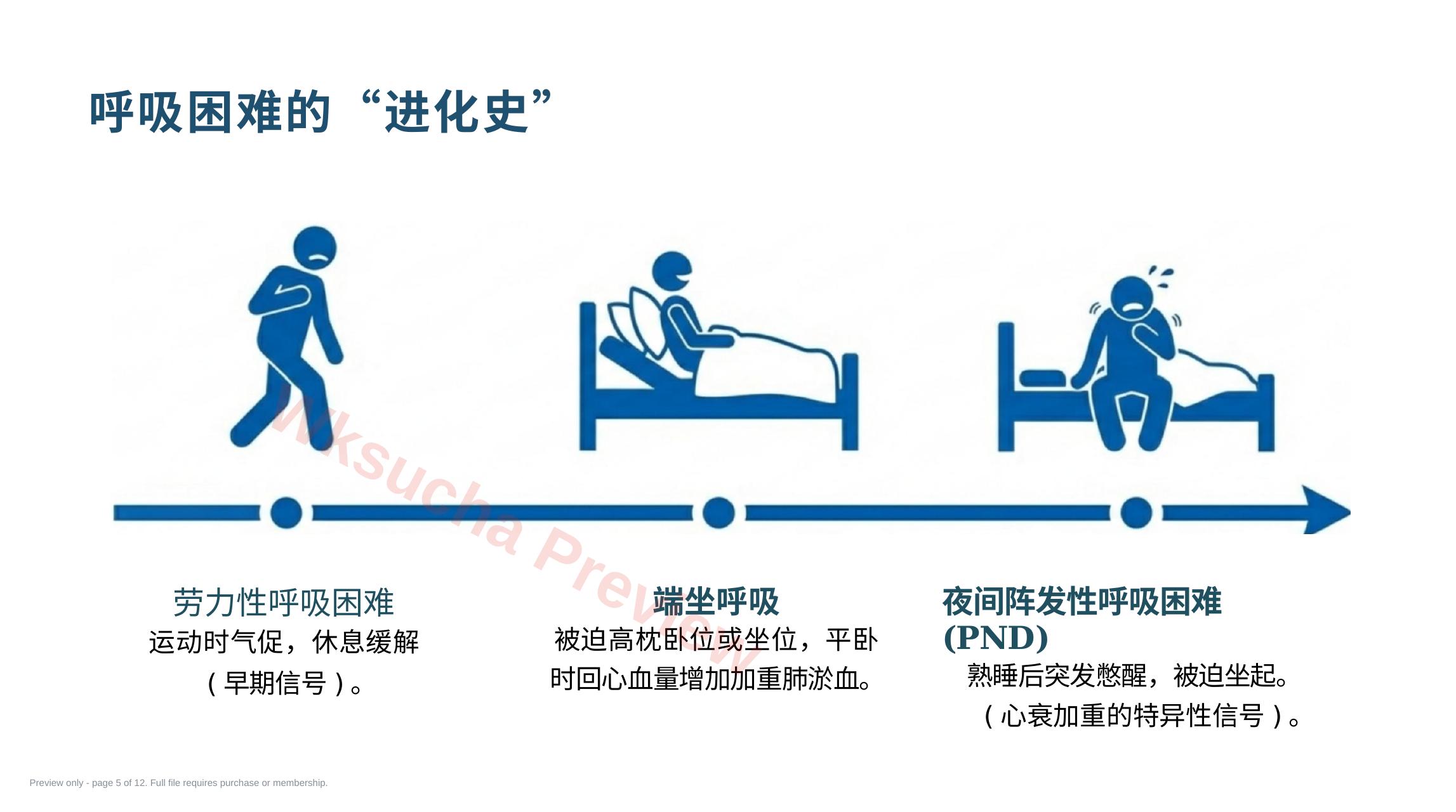预览第 5 页