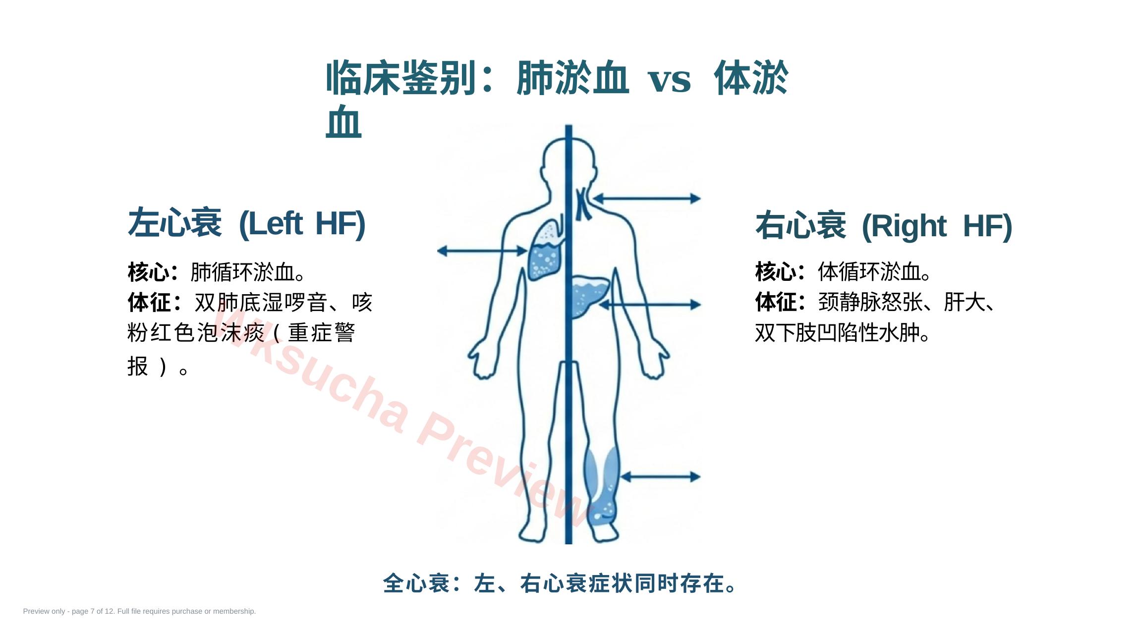 预览第 7 页