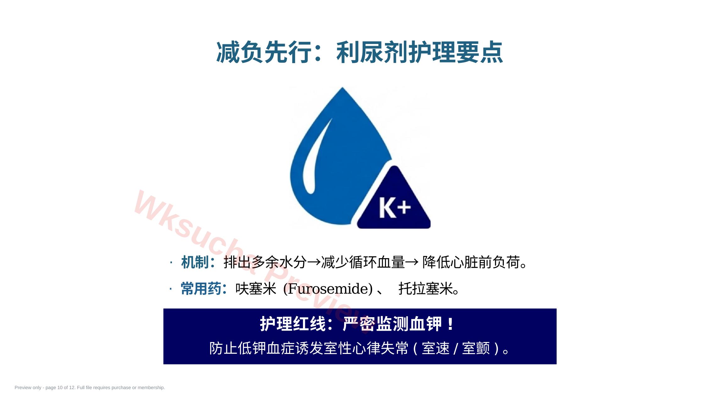 预览第 10 页