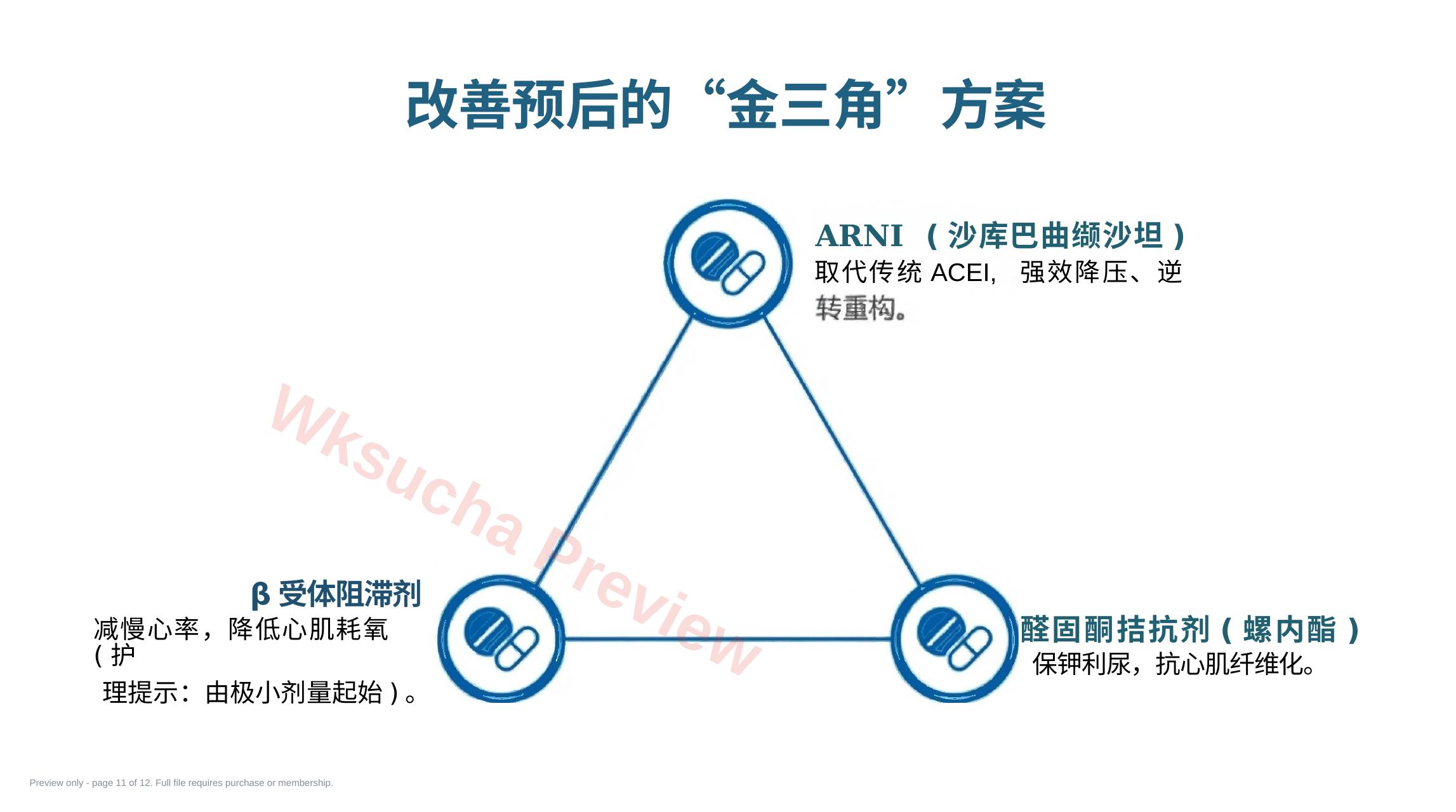 预览第 11 页