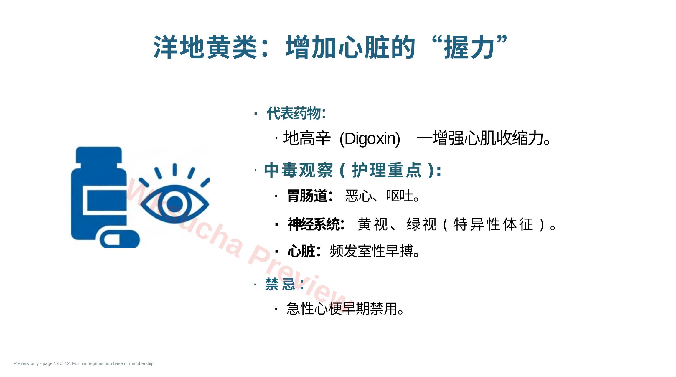 预览第 12 页