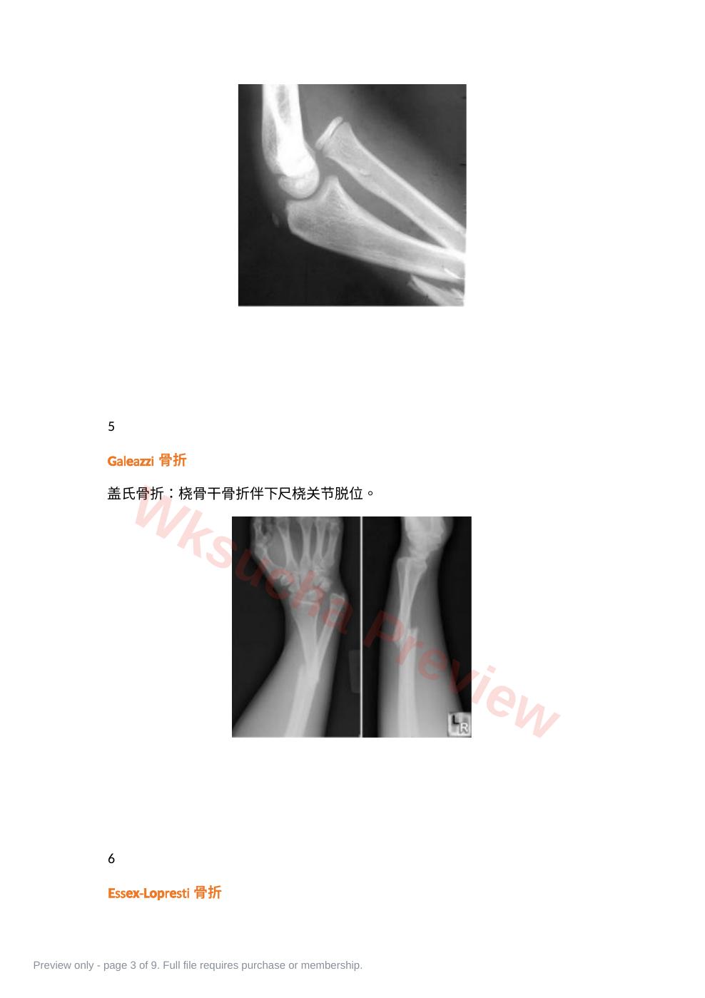 预览第 3 页