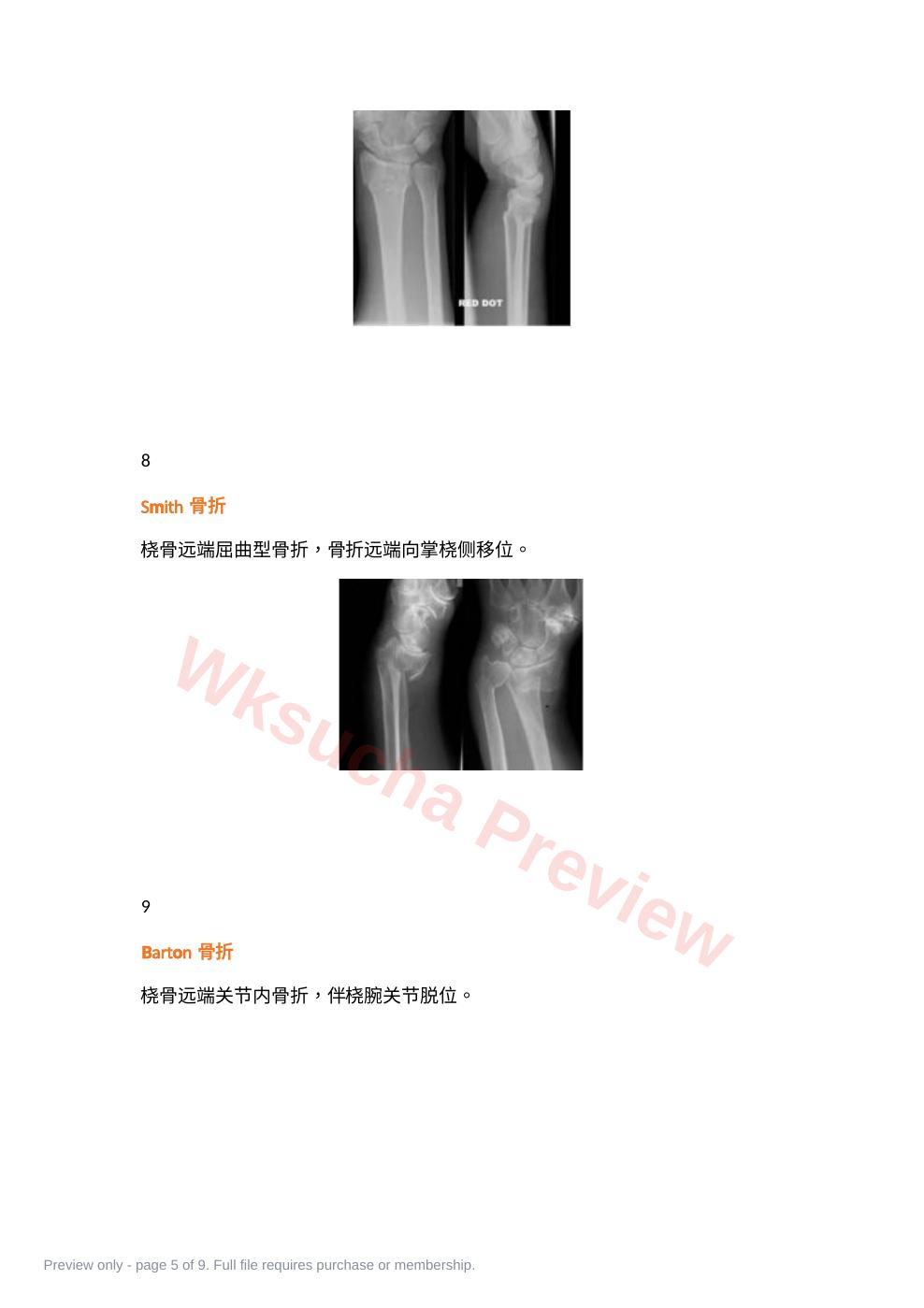 预览第 5 页