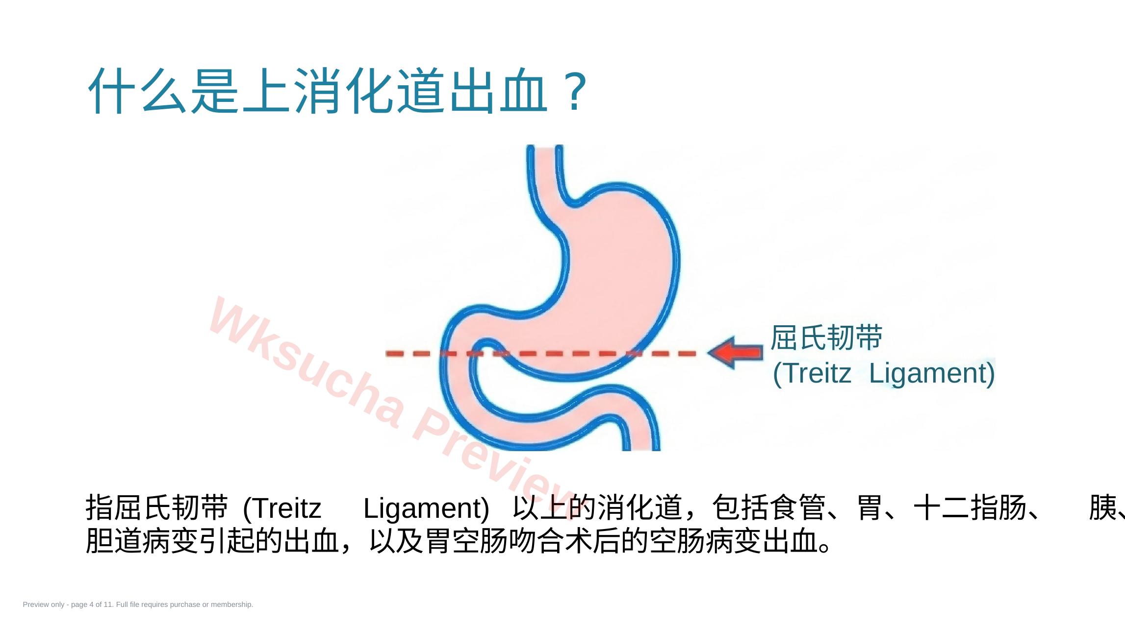 预览第 4 页