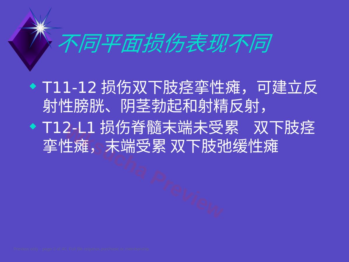 预览第 3 页