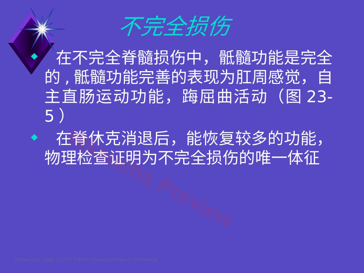 预览第 11 页