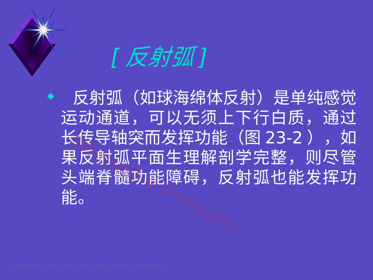 预览第 14 页
