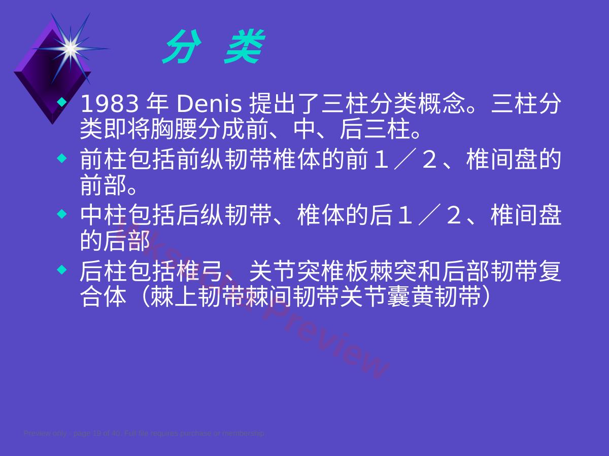预览第 19 页