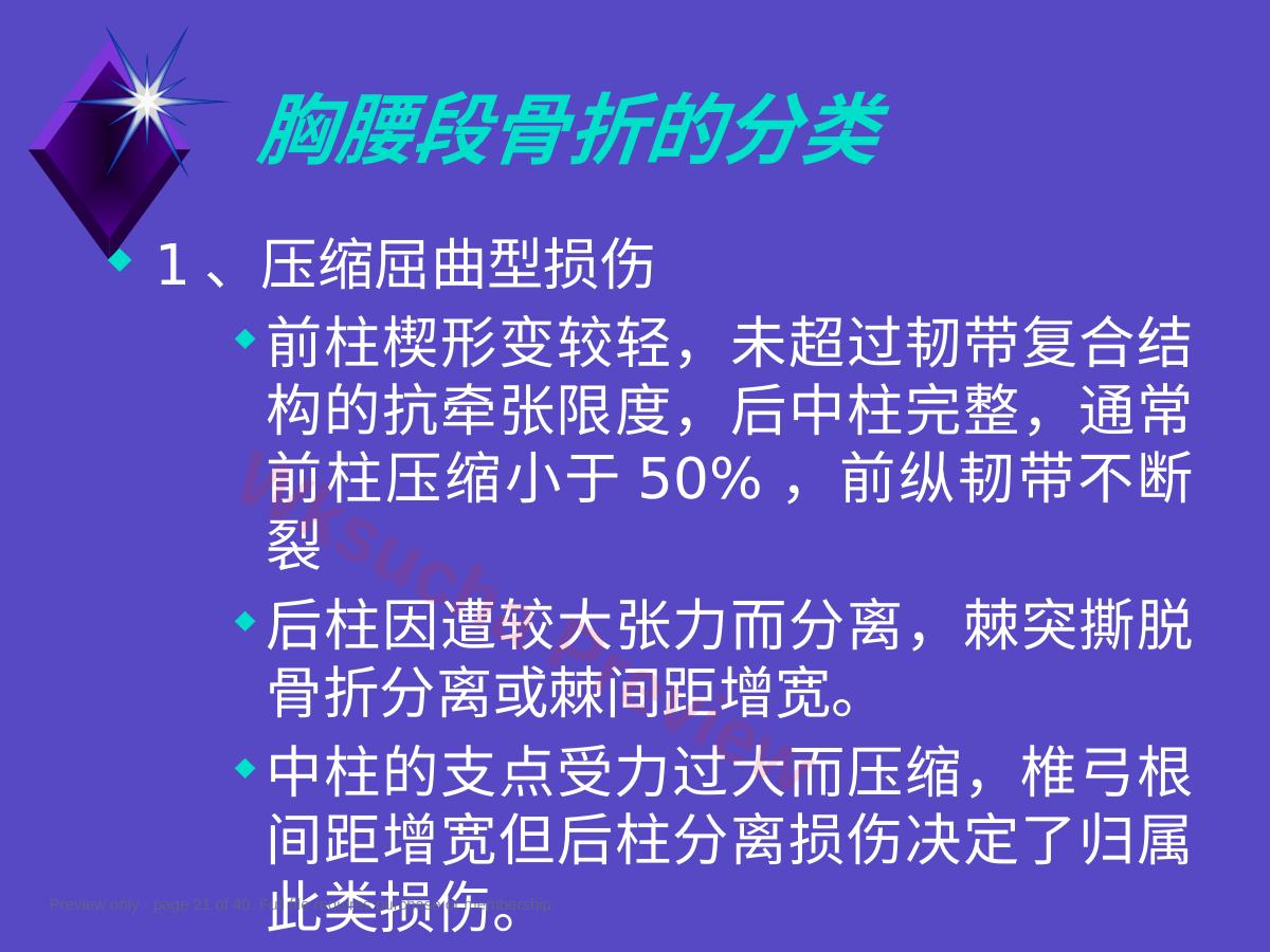 预览第 21 页