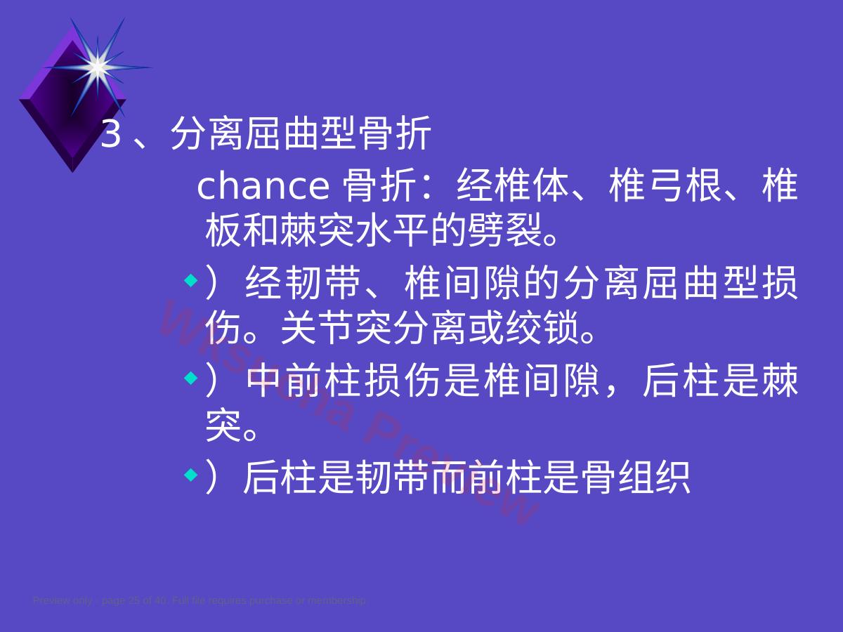 预览第 25 页