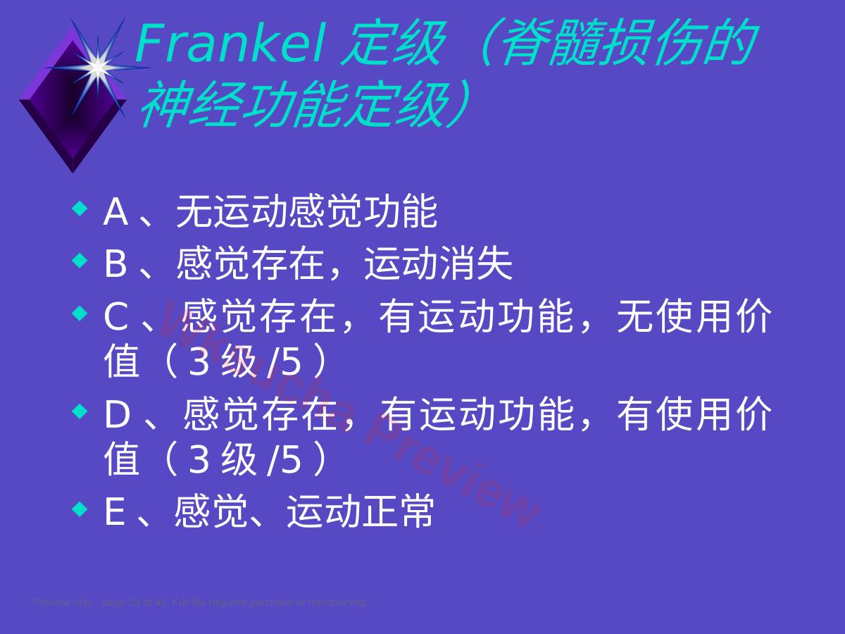 预览第 29 页
