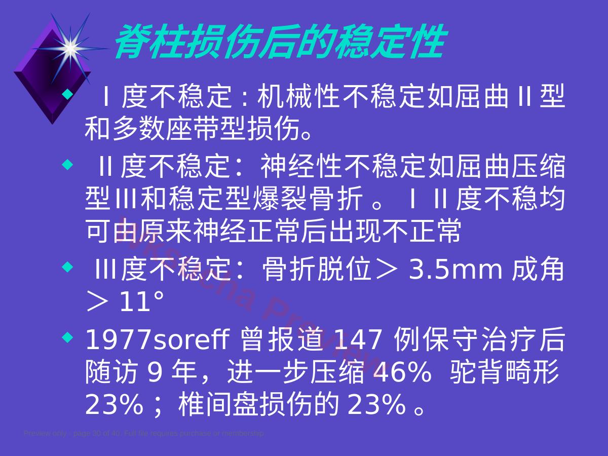 预览第 30 页