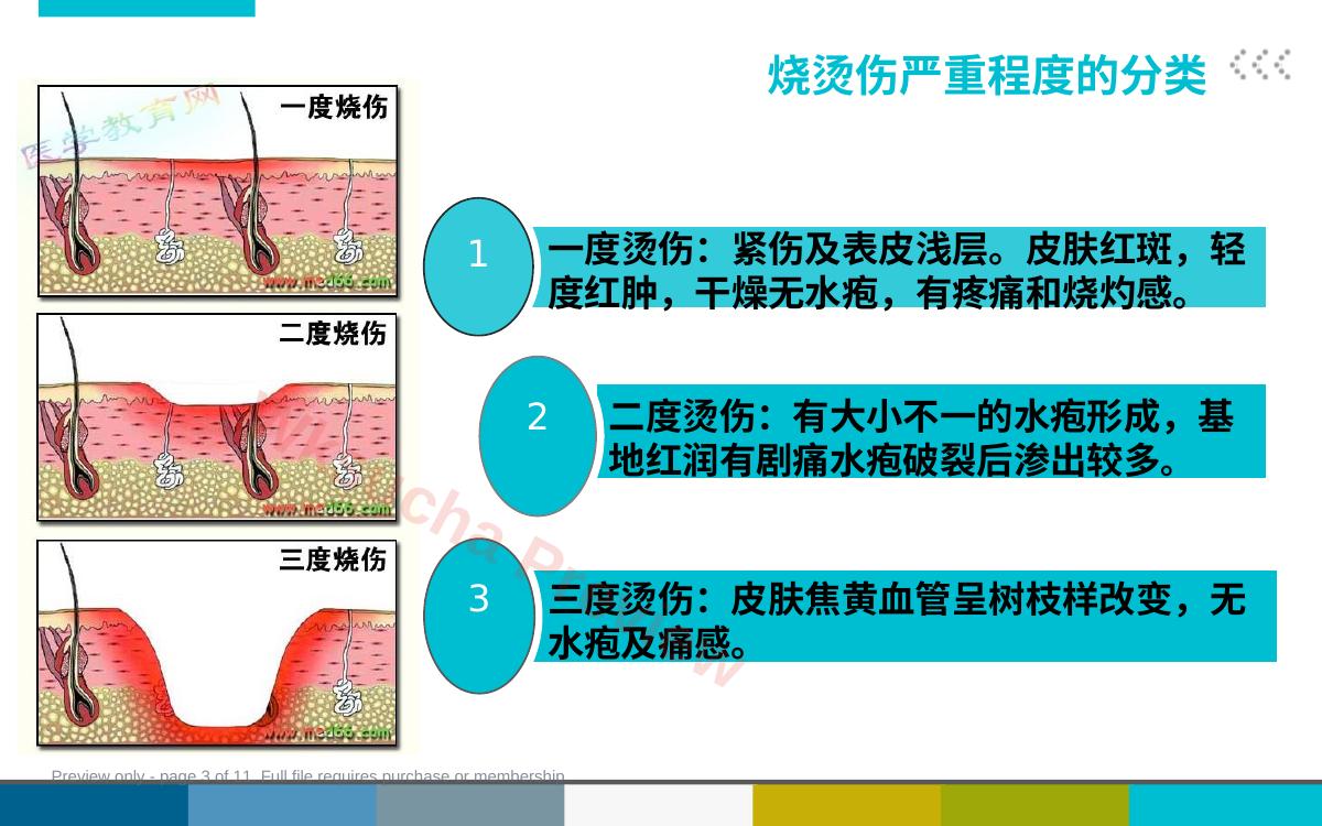 预览第 3 页
