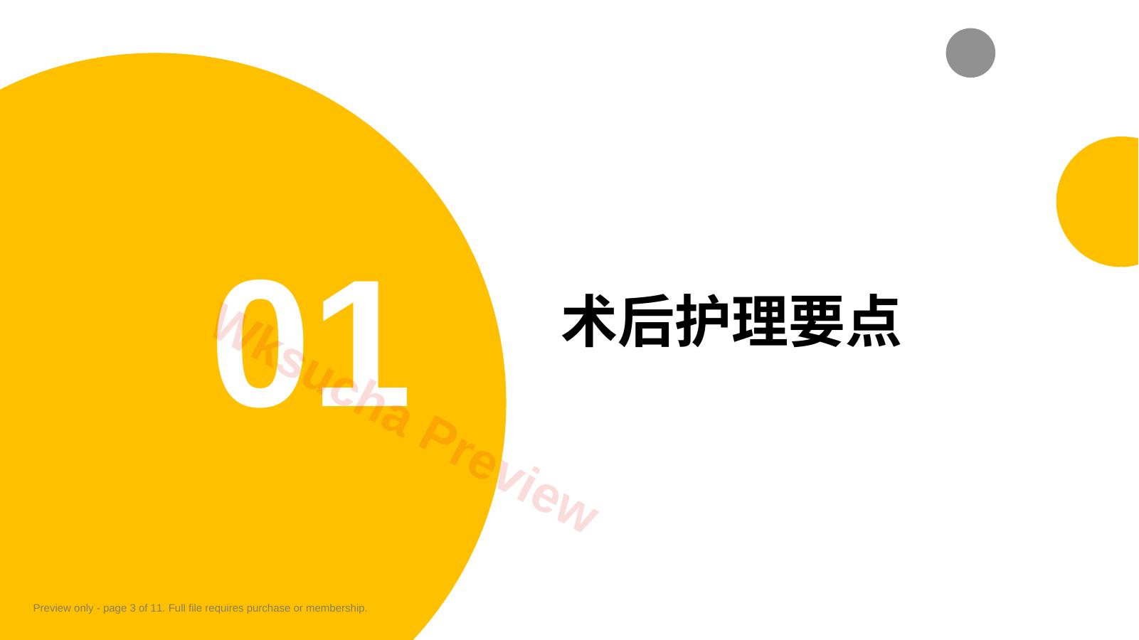 预览第 3 页