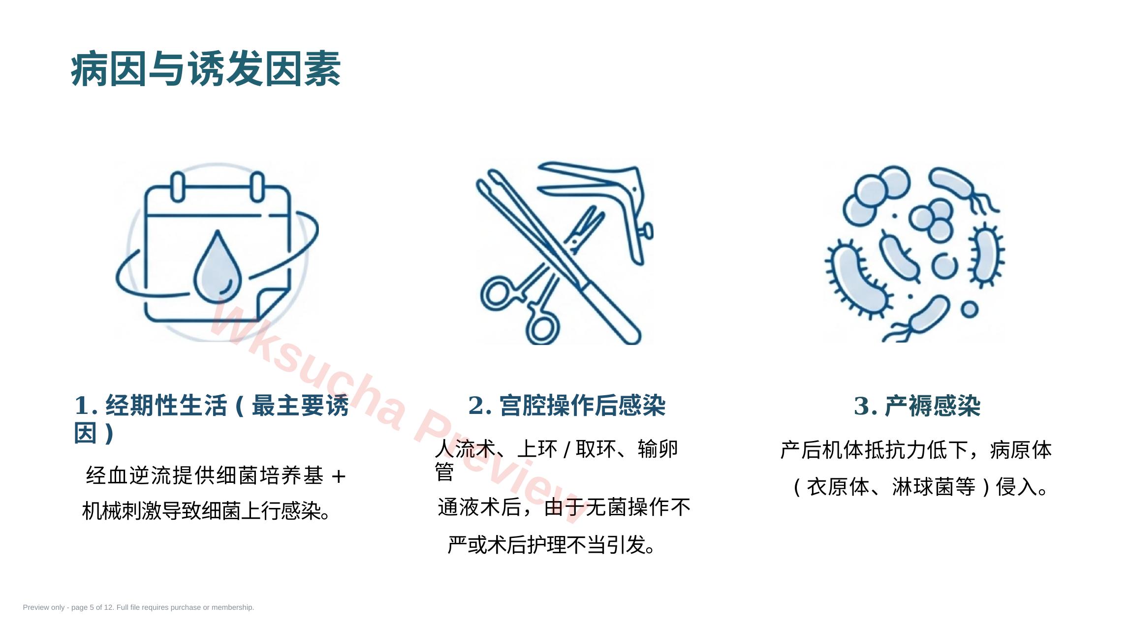 预览第 5 页