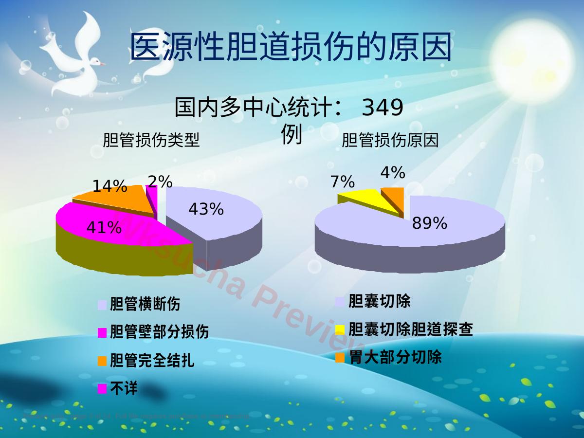 预览第 3 页
