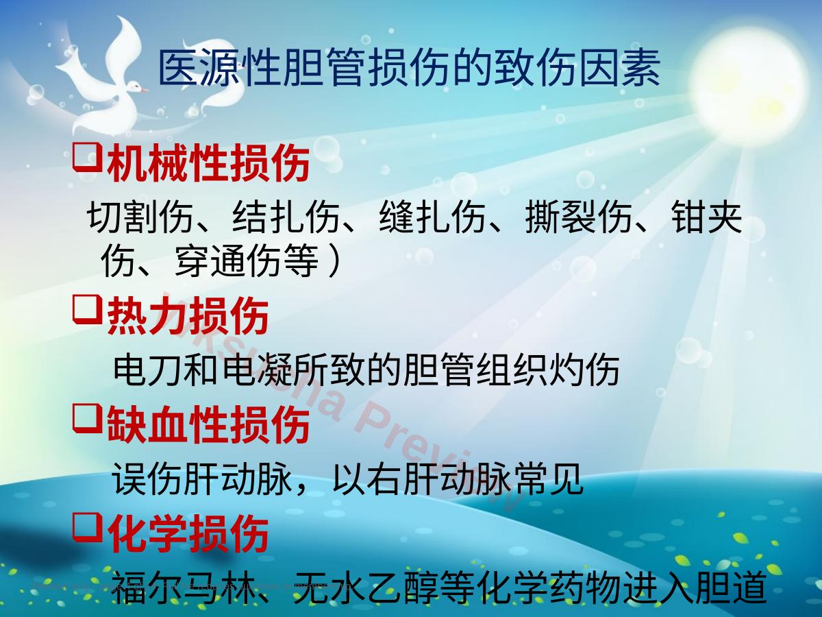 预览第 4 页