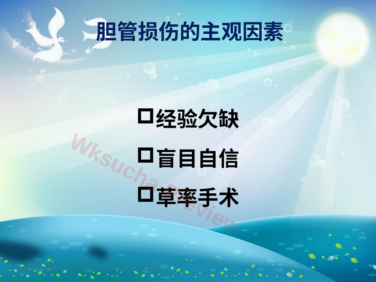 预览第 5 页