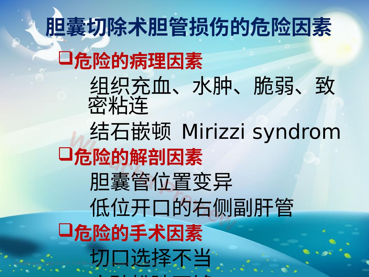 预览第 6 页