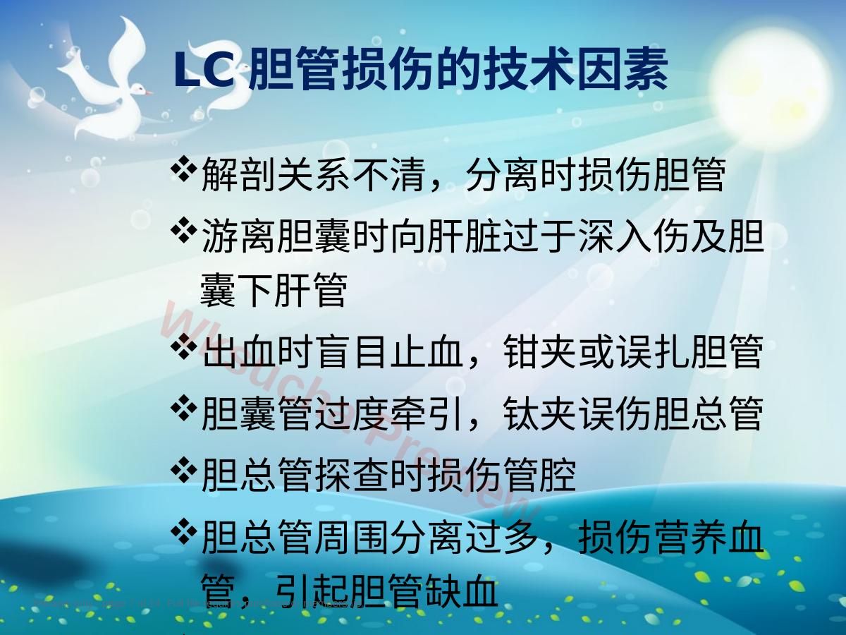 预览第 7 页