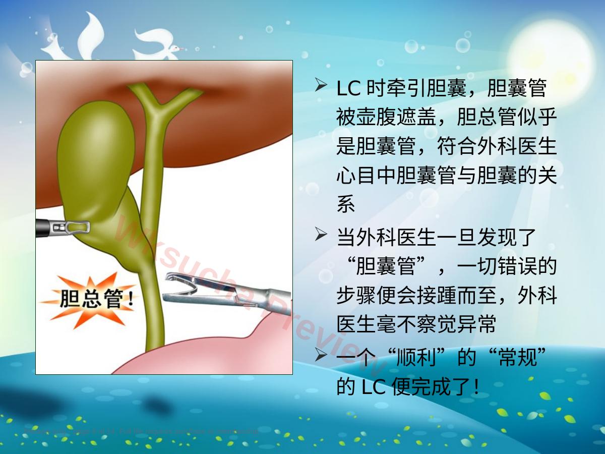 预览第 8 页
