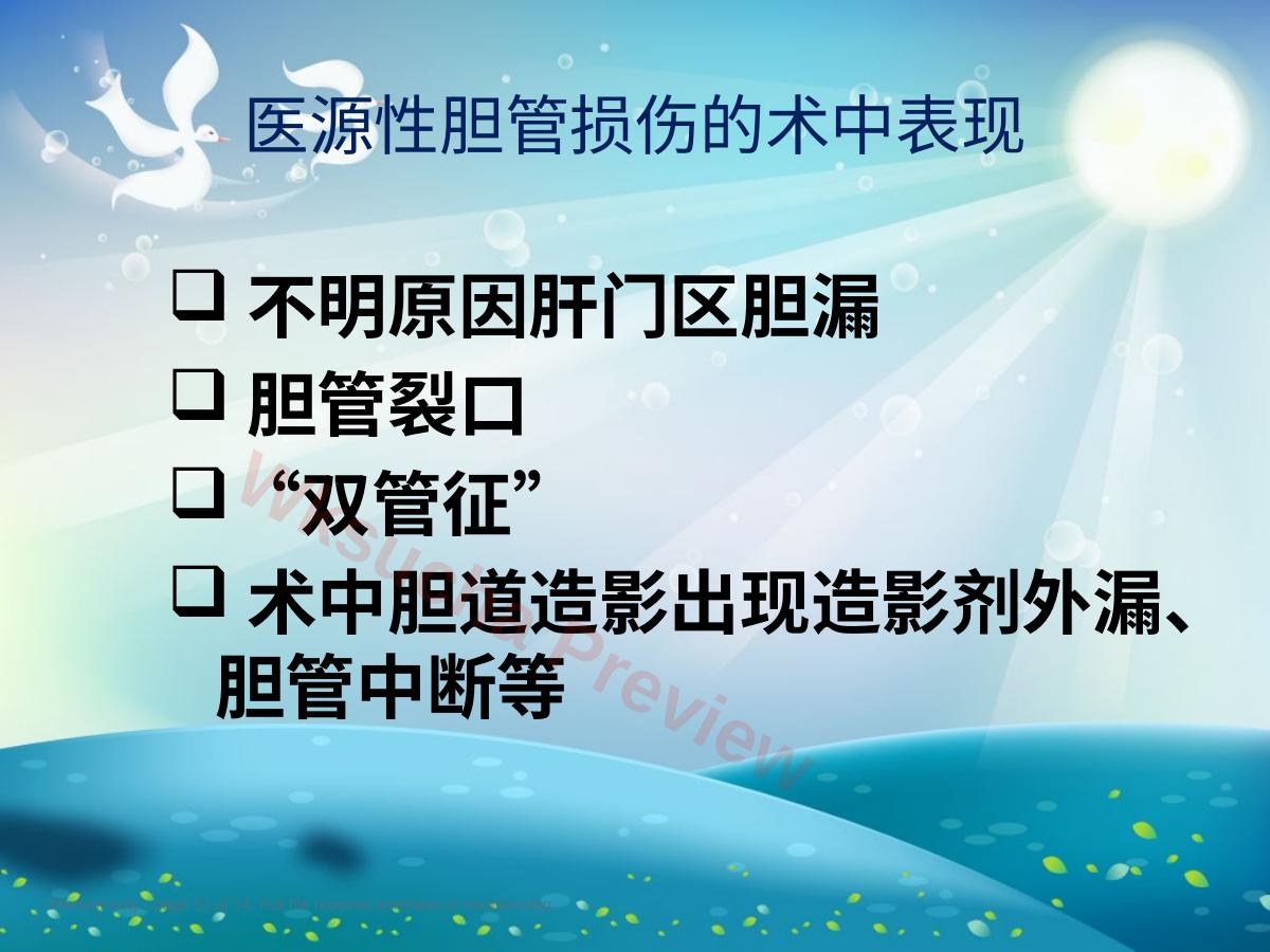 预览第 13 页