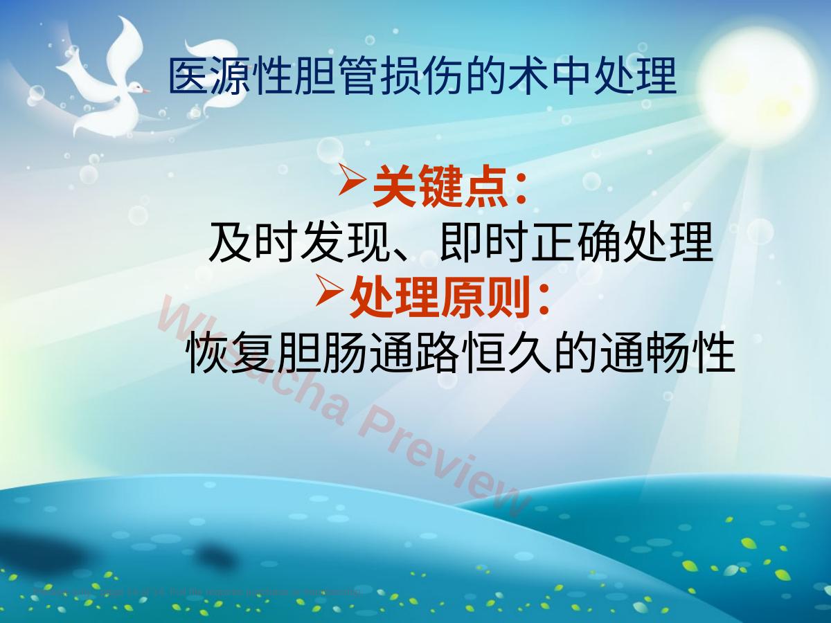 预览第 14 页