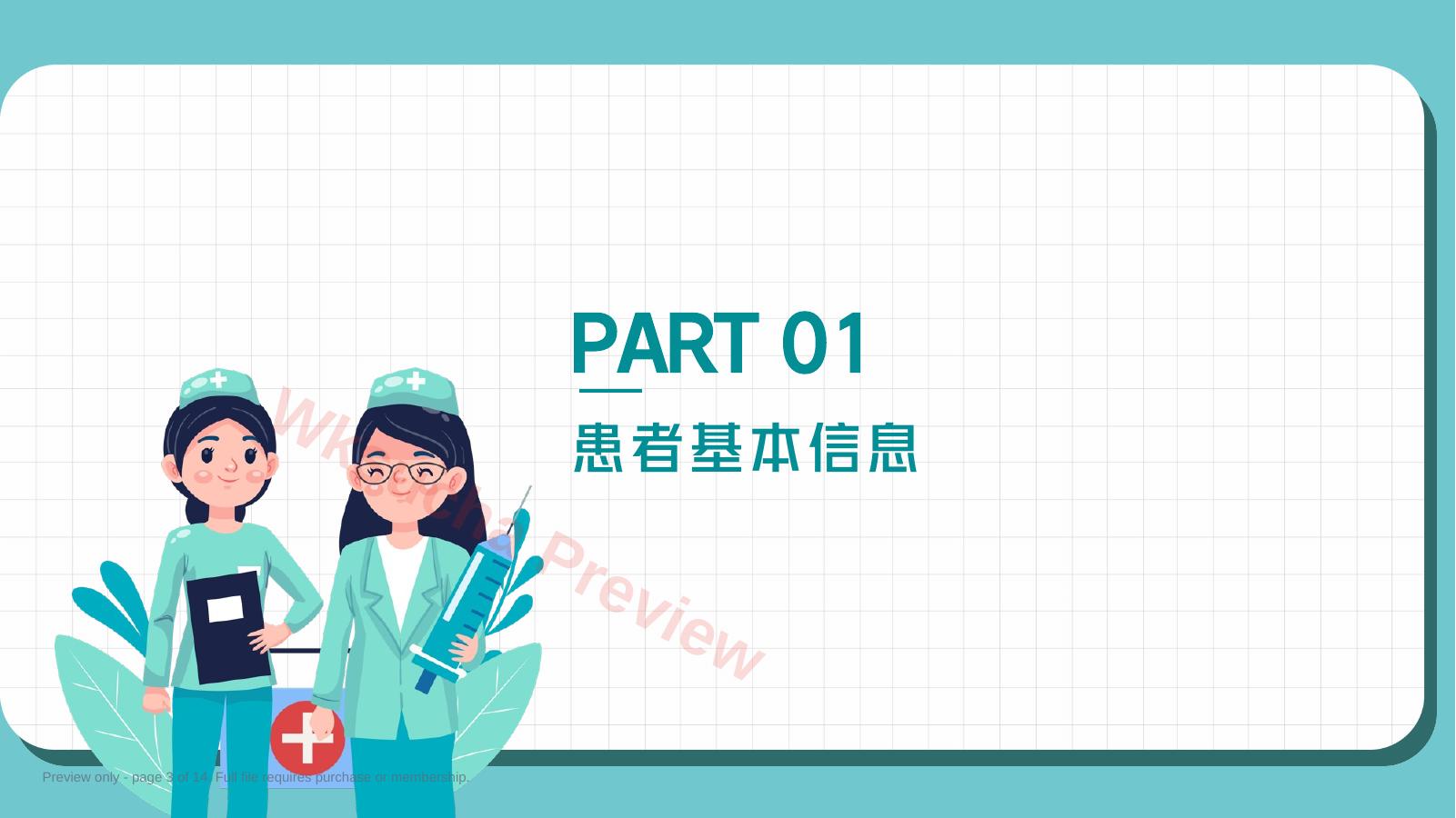 预览第 3 页