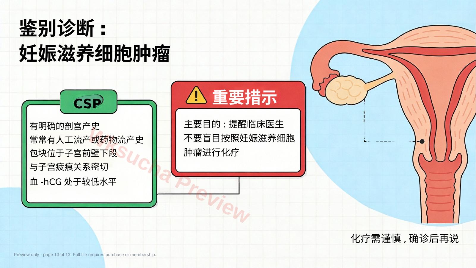 预览第 13 页