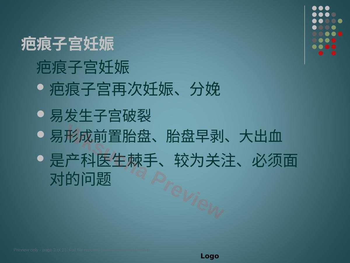 预览第 3 页