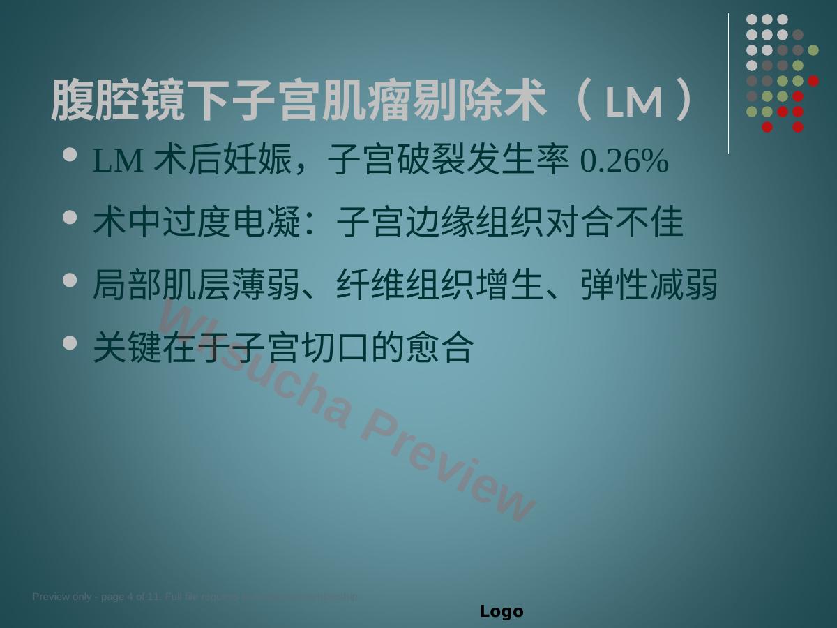 预览第 4 页