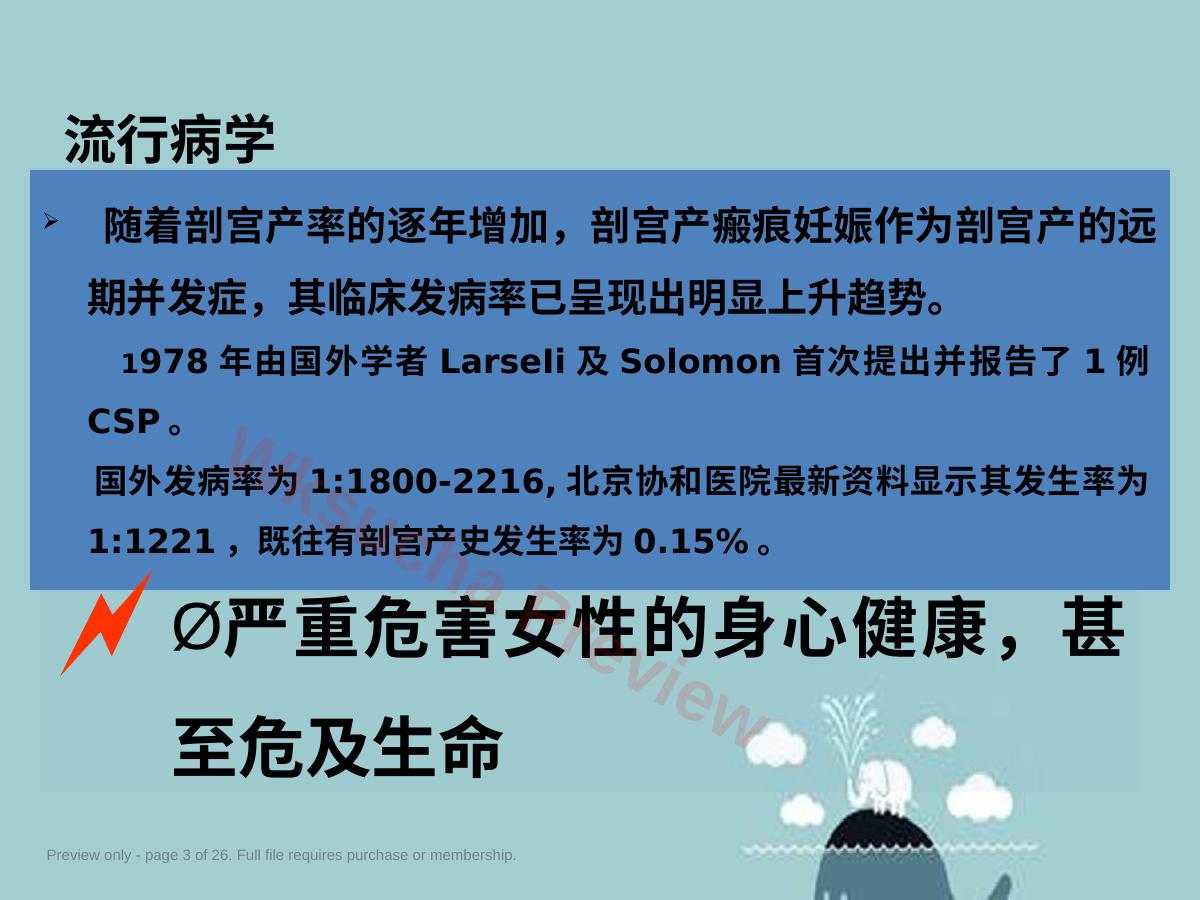 预览第 3 页