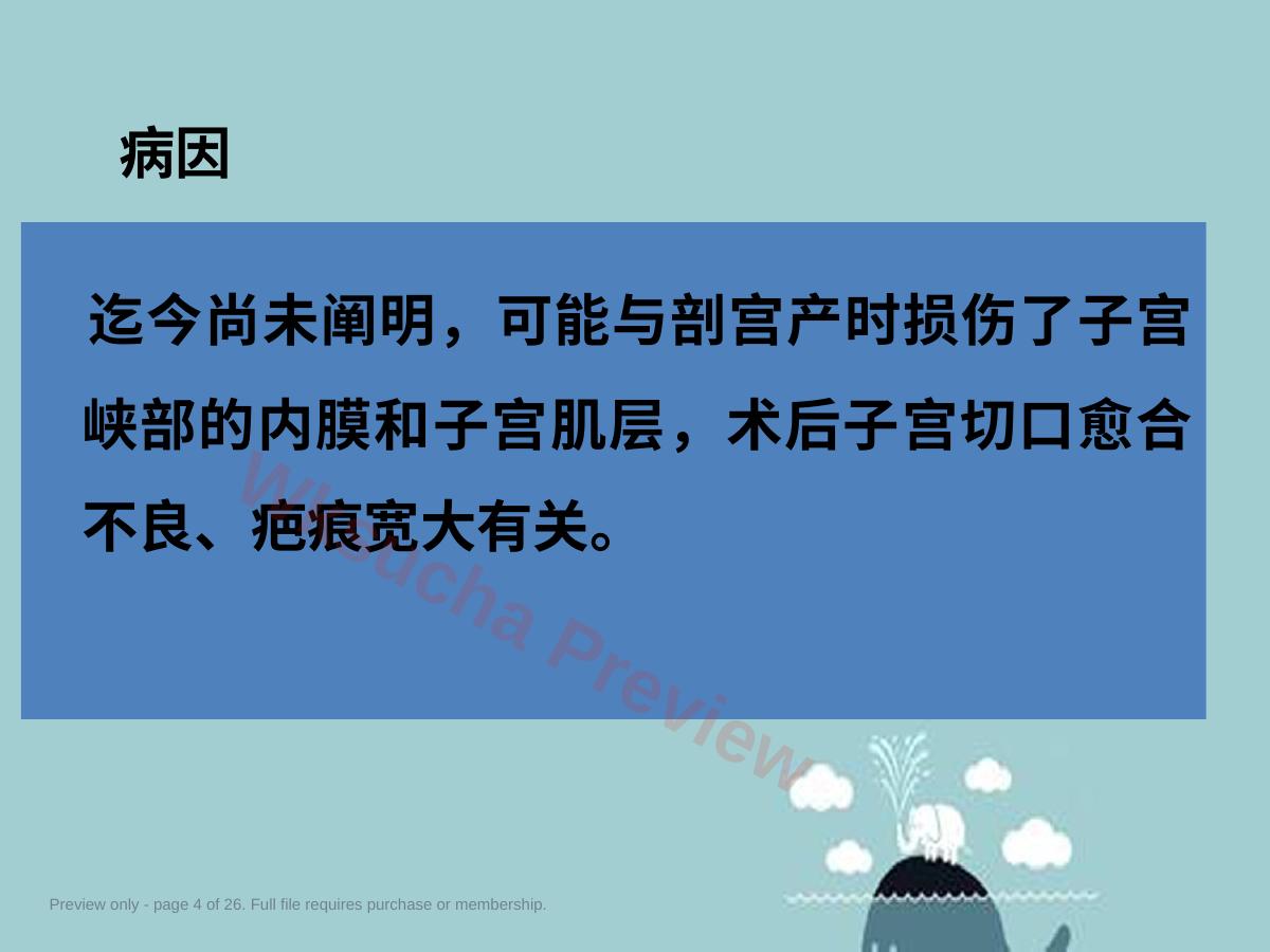 预览第 4 页