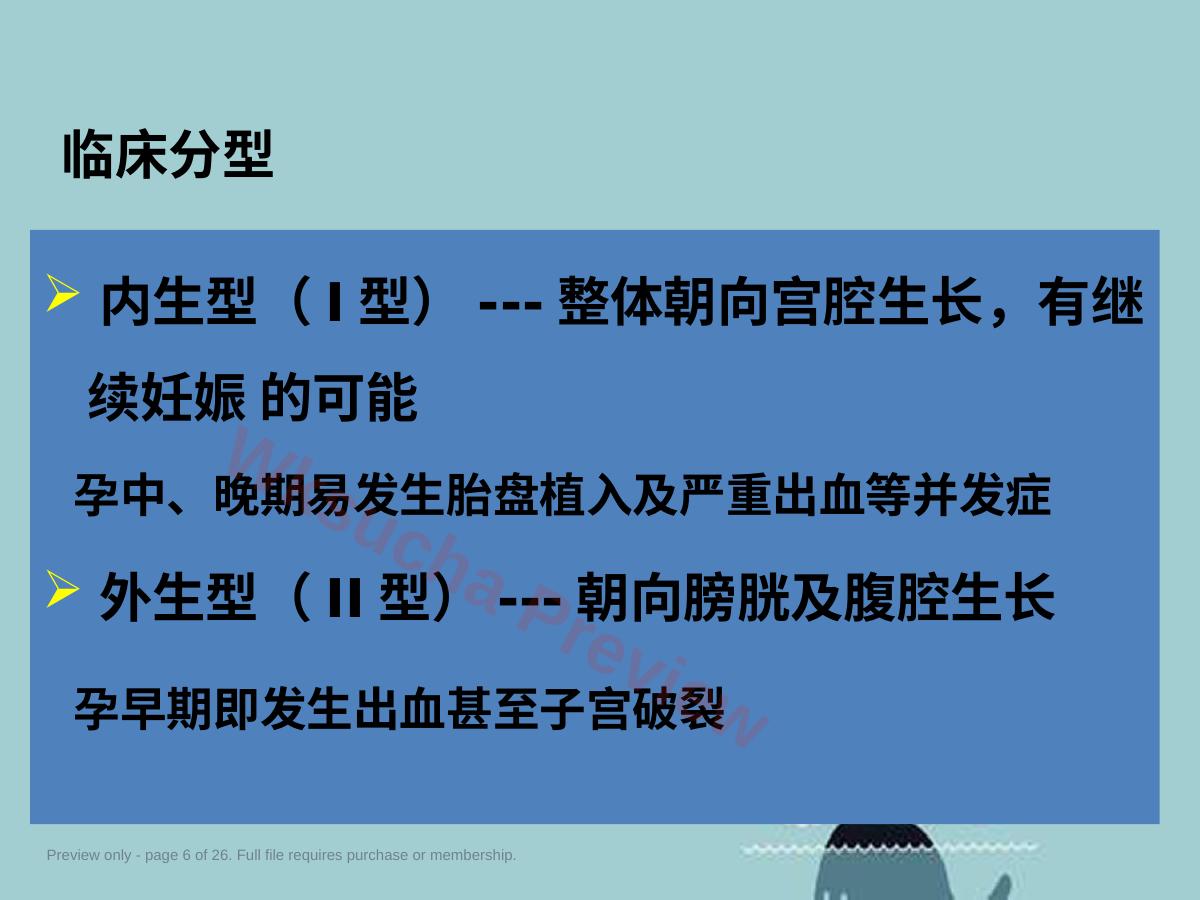 预览第 6 页