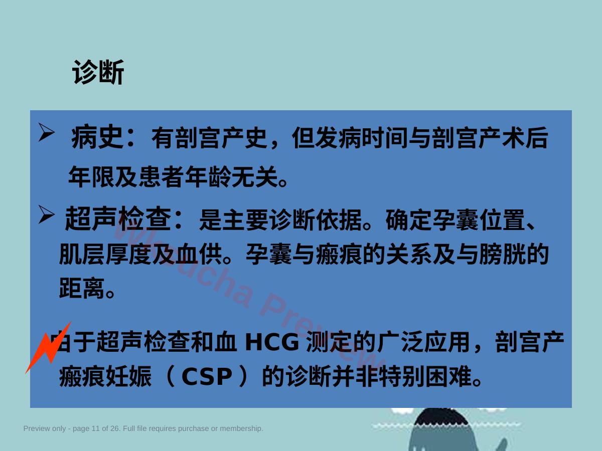 预览第 11 页