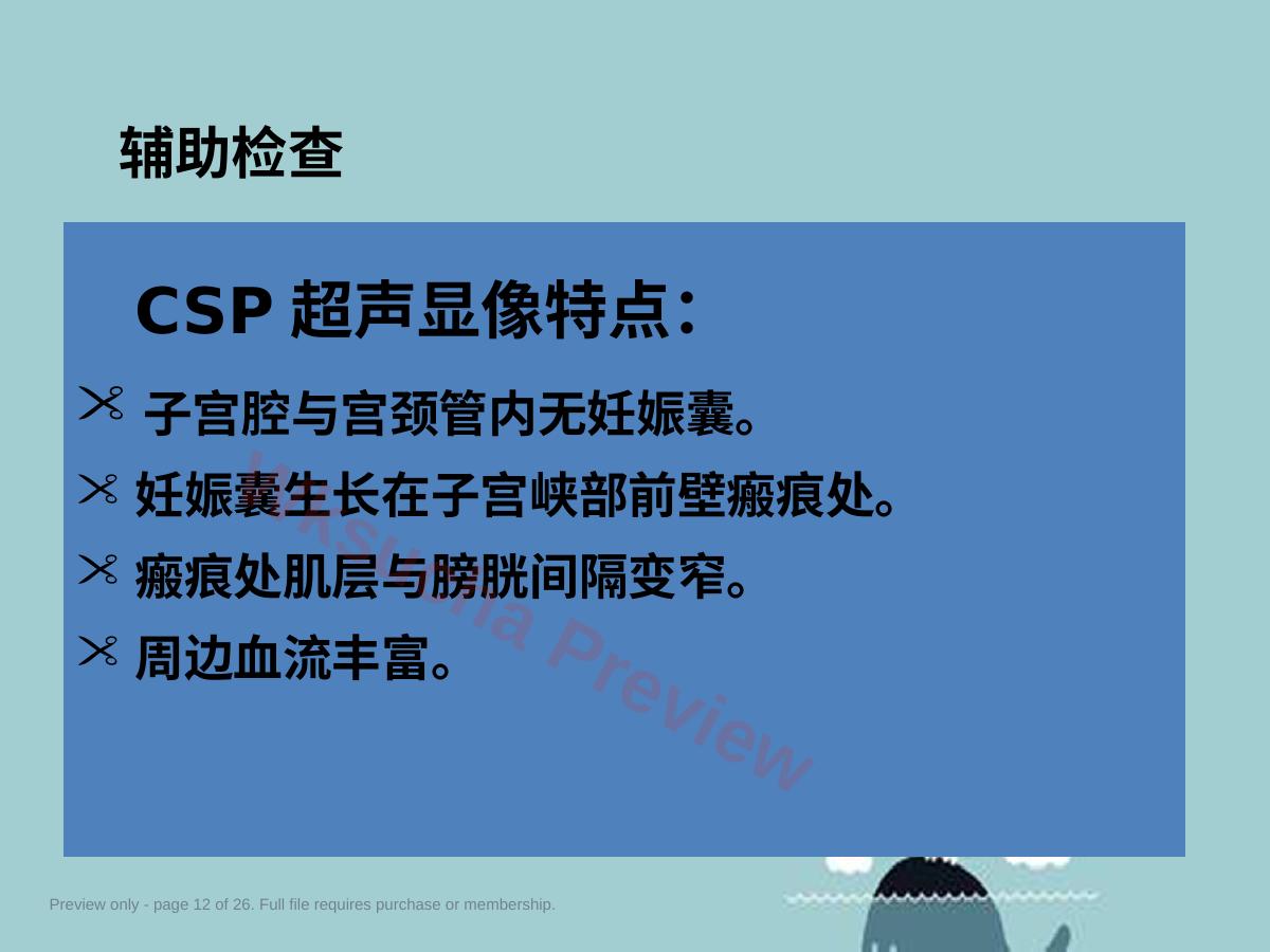 预览第 12 页