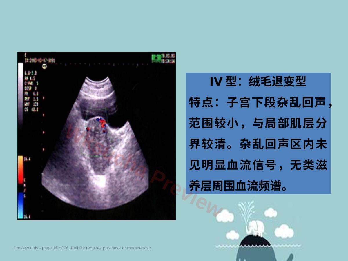 预览第 16 页