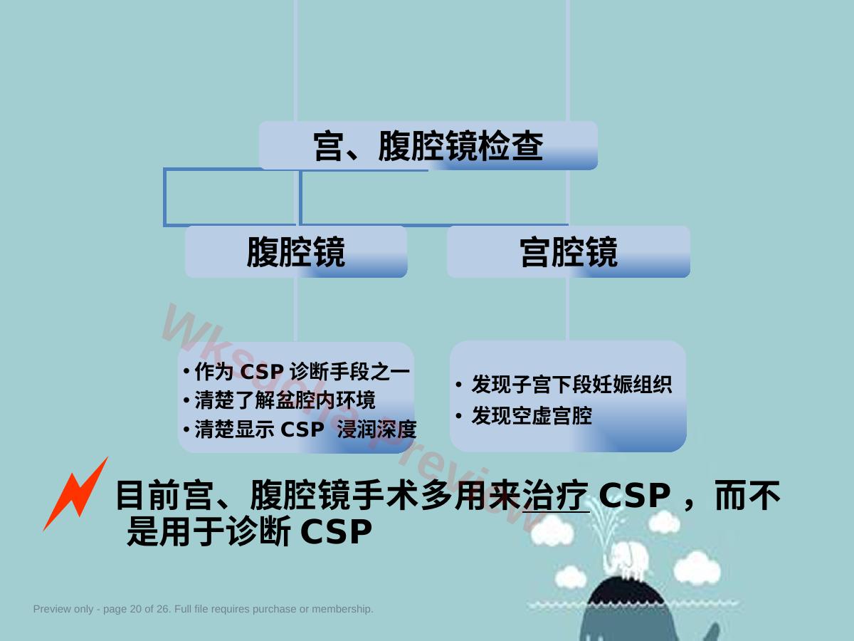 预览第 20 页
