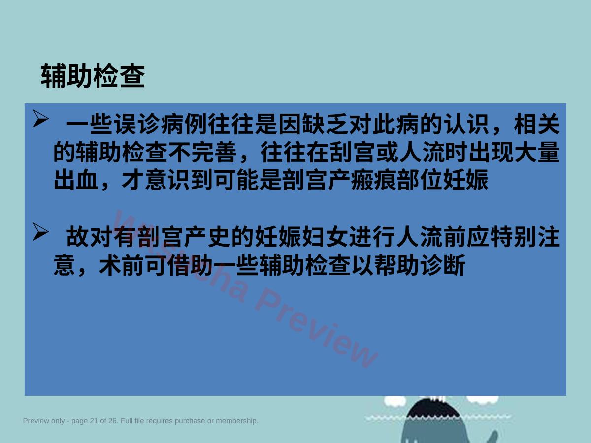 预览第 21 页