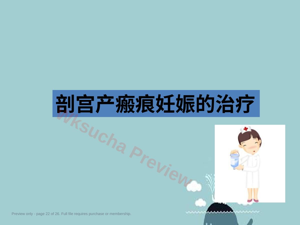 预览第 22 页