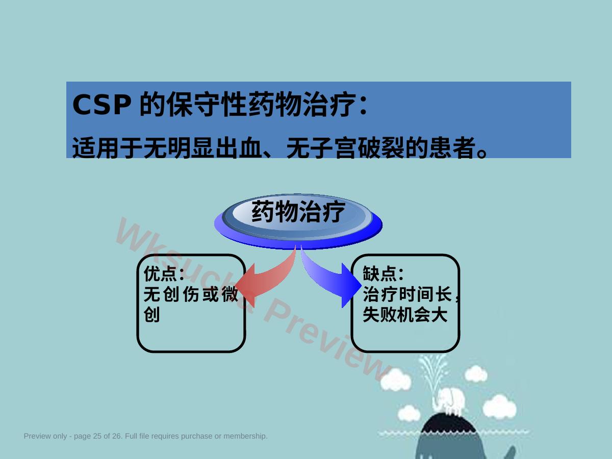 预览第 25 页