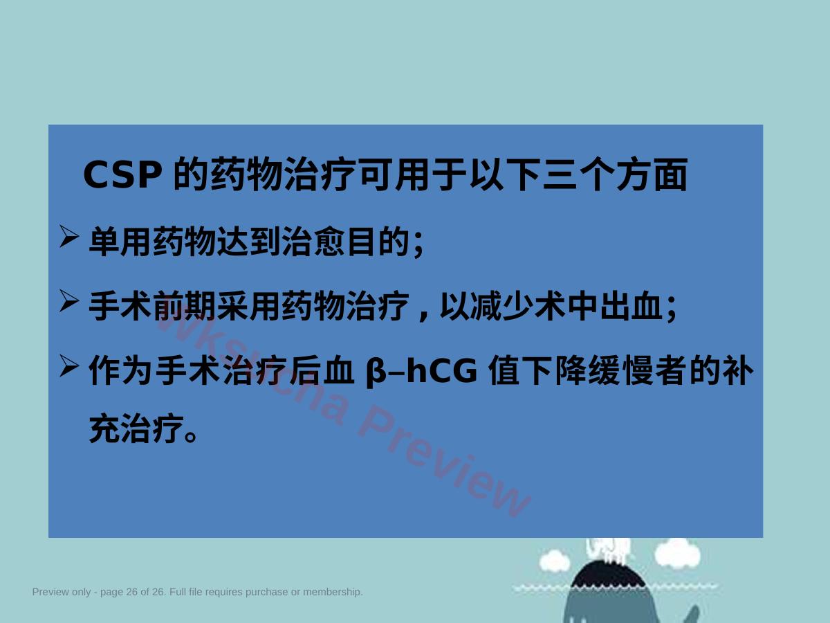 预览第 26 页