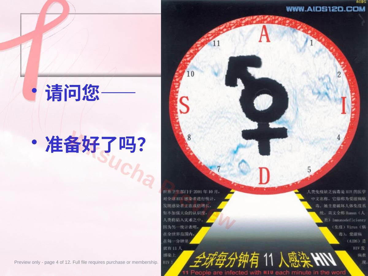 预览第 4 页