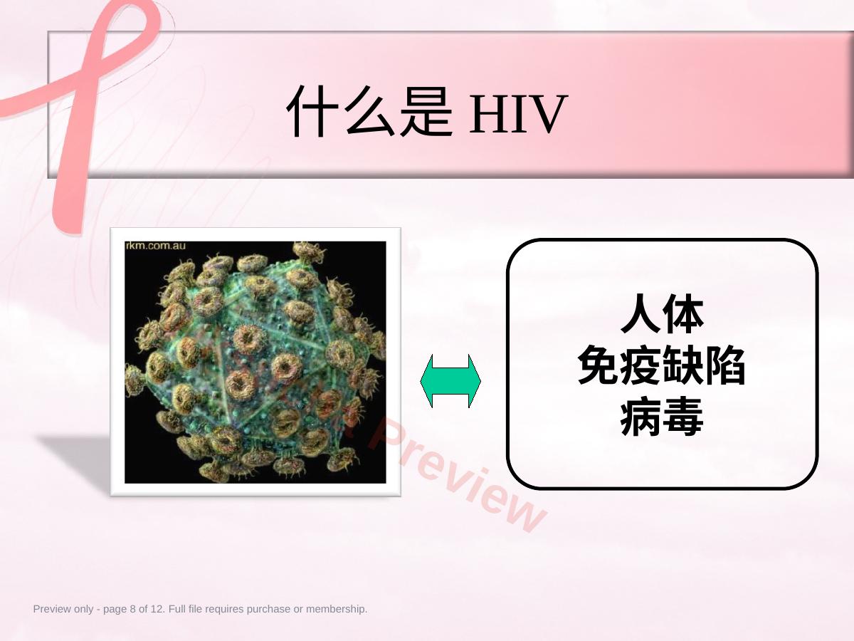 预览第 8 页