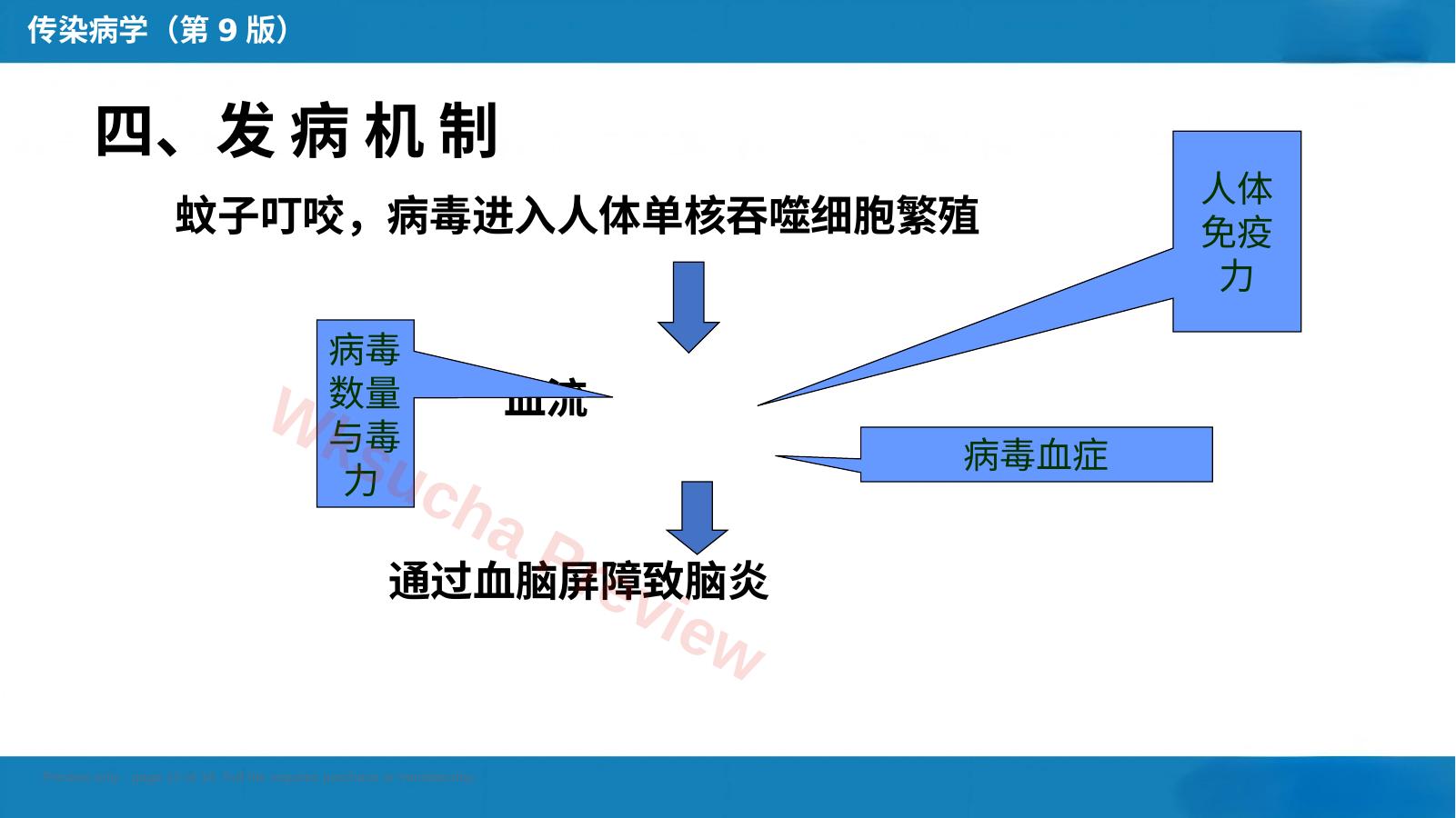 预览第 12 页