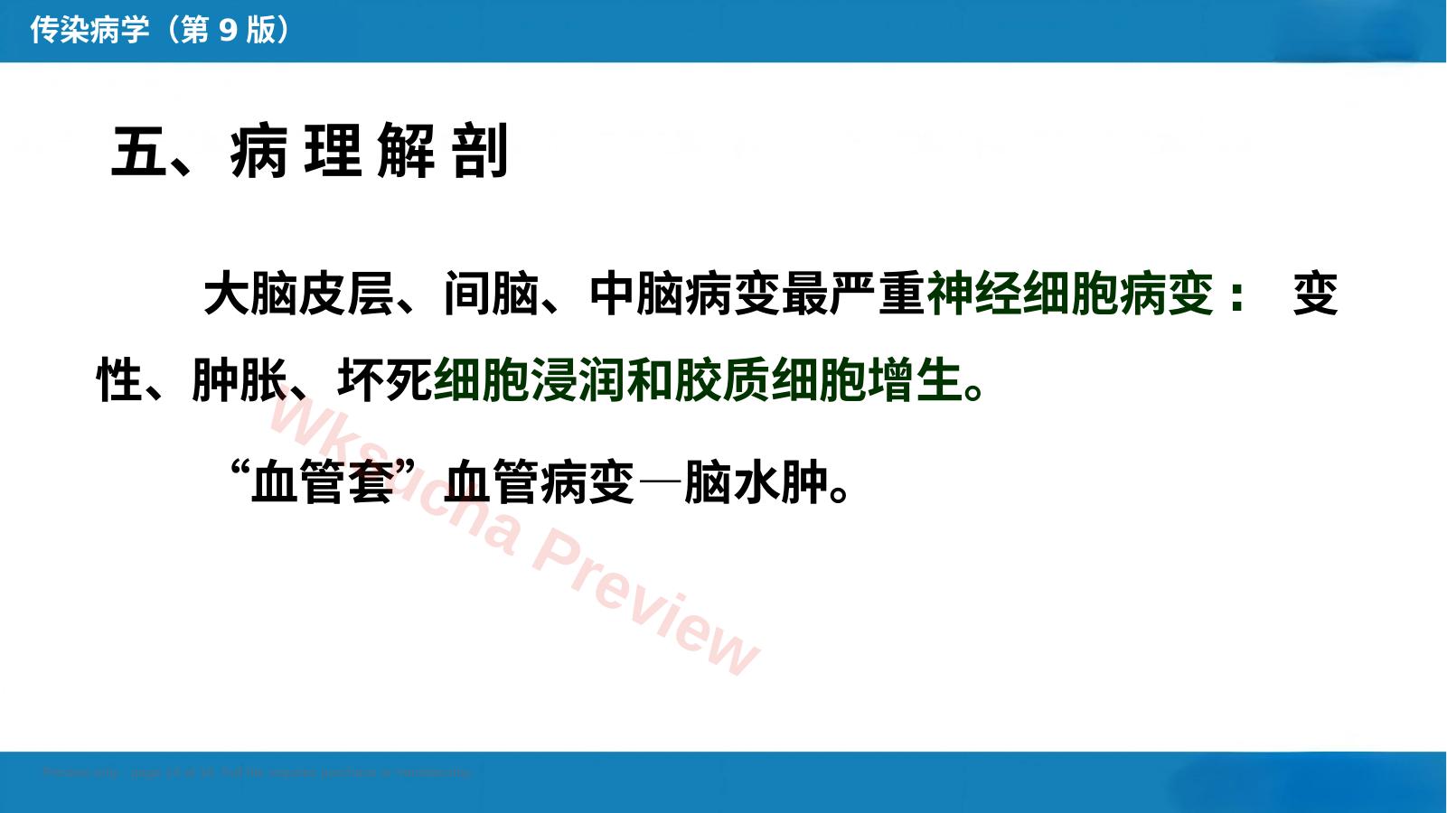 预览第 14 页